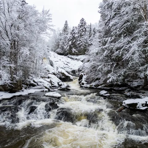 Charles Marceau-Cotton | Carlito Photo Sentier des cascades