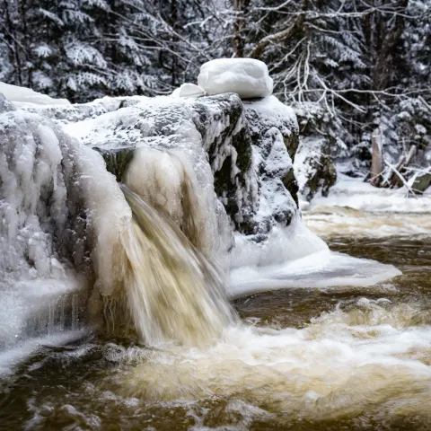 Charles Marceau-Cotton | Carlito Photo Sentier des cascades