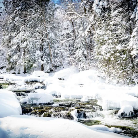 Charles Marceau-Cotton | Carlito Photo Sentier des cascades