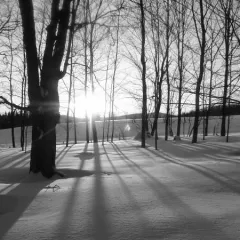 En hiver