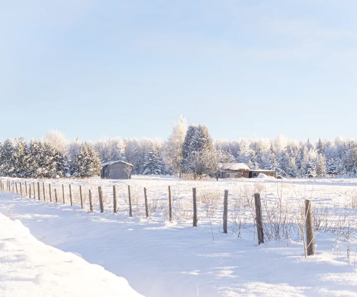 8e Rang en hiver