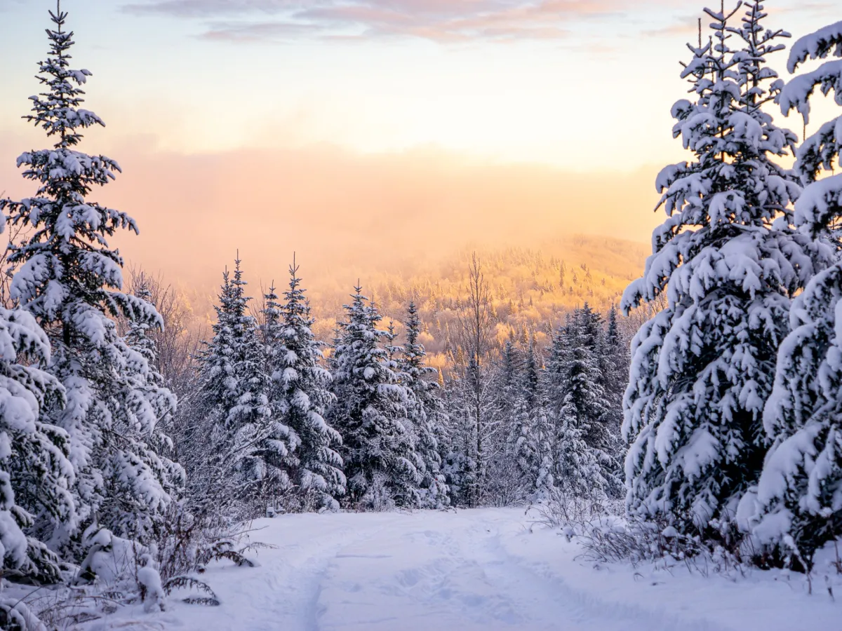 Charles Marceau-Cottonn | Carlito Photo Mont Simoneua