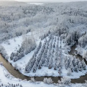 Charles Marceau-Cottonn | Carlito Photo Rivière aux vases